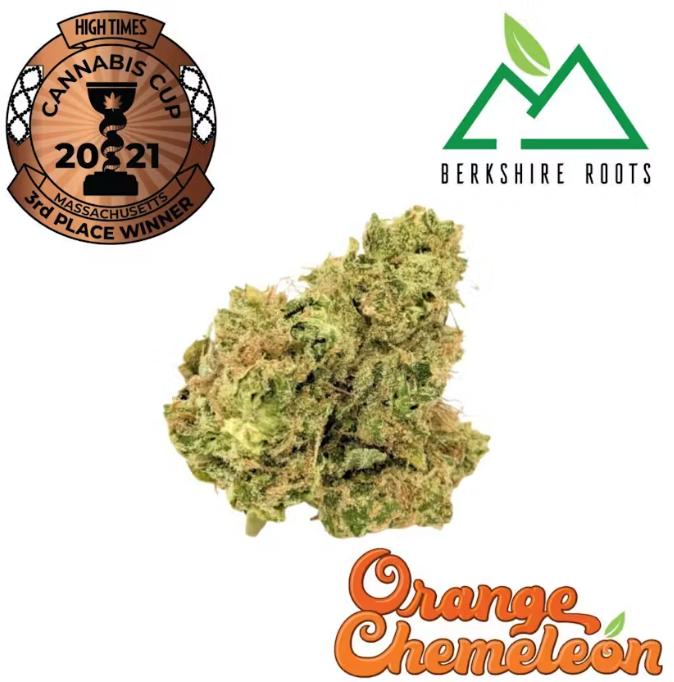 Photograph of product: Berkshire Roots Grandi Candi (H) Flower 3.5g