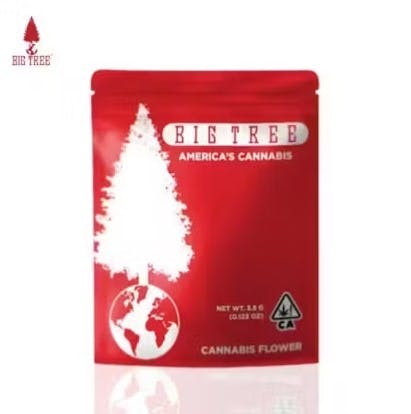 Photograph of product: Big Tree - Biscotti Mintz - 3.5g *B2G1 EVERYDAY* - 