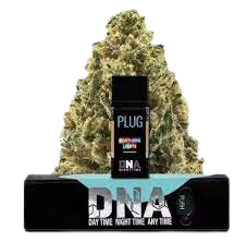 Photograph of product: PLUGPLAY | DNA: Northern Lights Pod | 1g