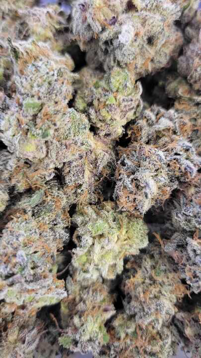 Photograph of product: Straight 2 Hell (Focus North)