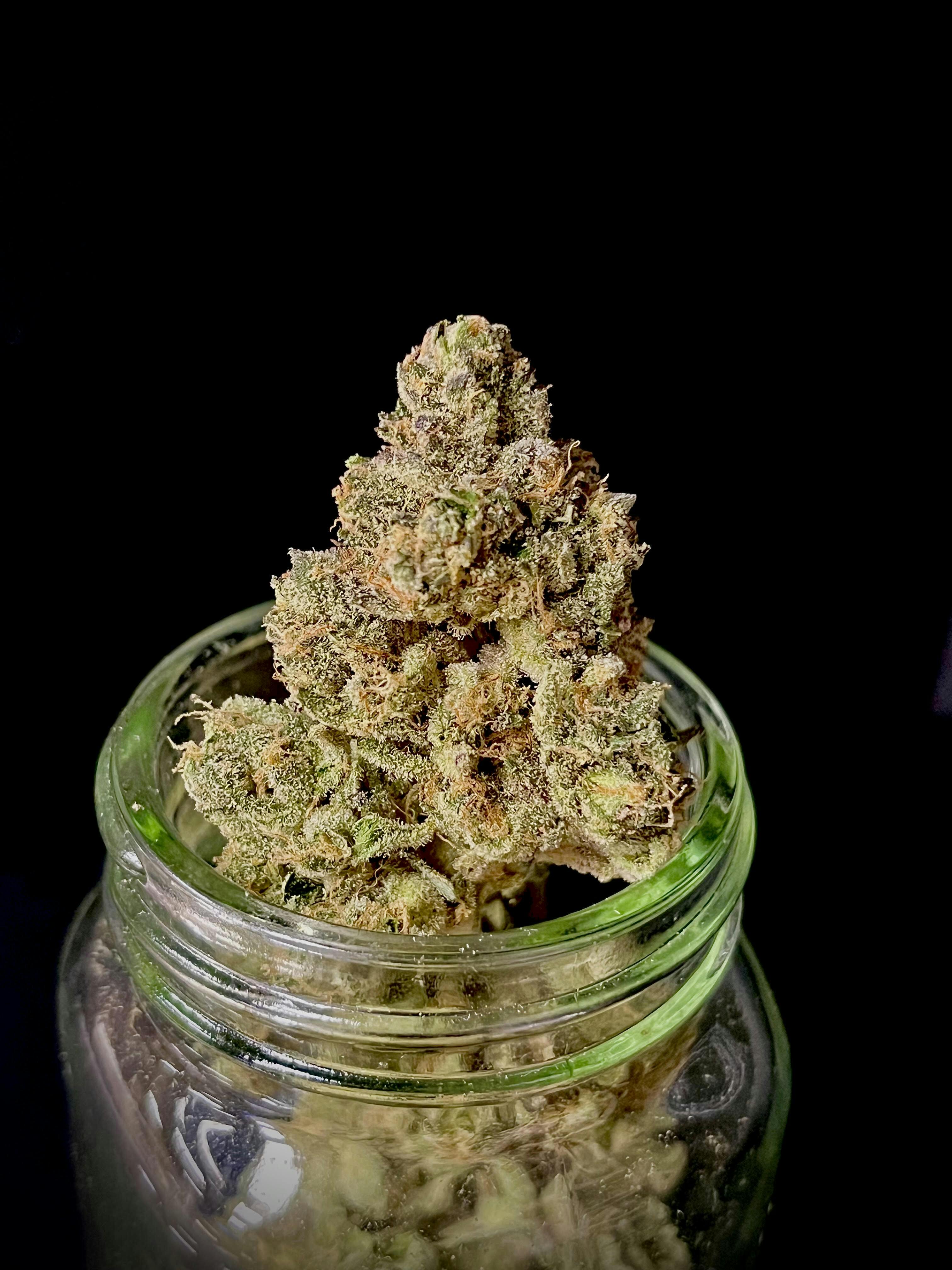 Photograph of product: Fumez #13 {Zkittlez x Sherbanger} (710 Labs) (Deli-Style)