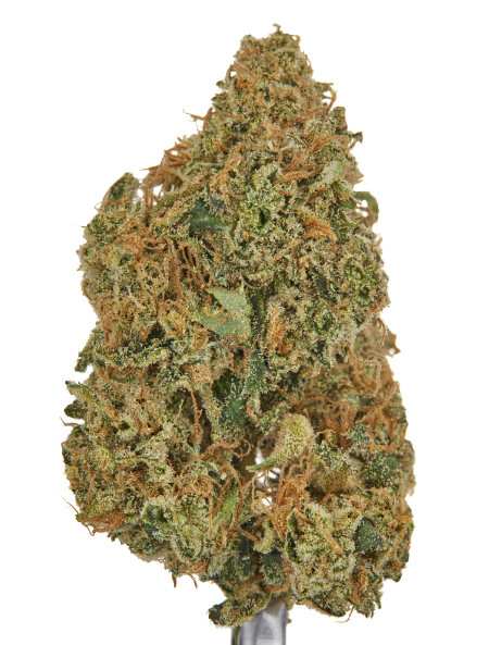 Photograph of product: Jack2 | Indoor Flower | 1/4oz - 7g
