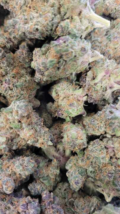 Photograph of product: Terply (PDX Organix)