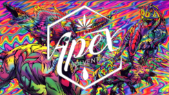 Photograph of product: Apex - Diamond Punch - 1g Premium au chocolat Rosin