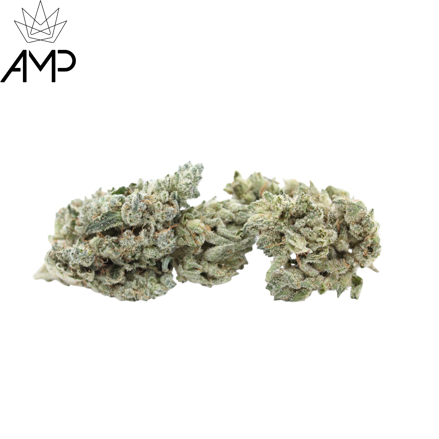 Photograph of product: Glue | AMP | - 28g