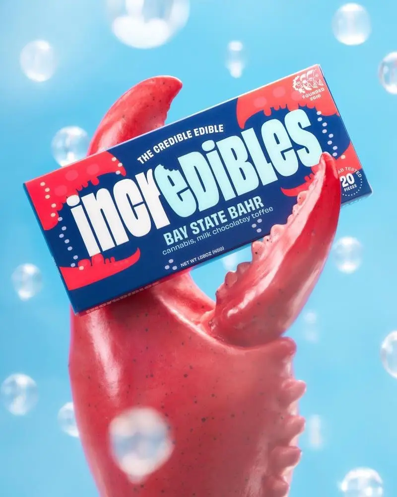 Photograph of product: Bay State Bar 100mg (20pk)