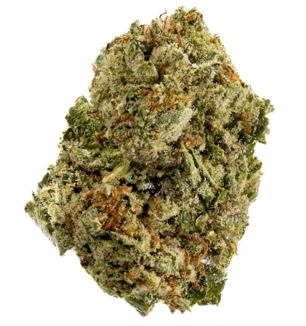 Photograph of product: Tropical Zlushie | 14g Flower
