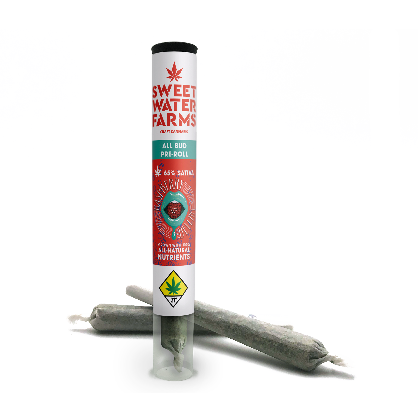 Photograph of product: Raspberry Bellini Pre-Roll 2-pack | 1g