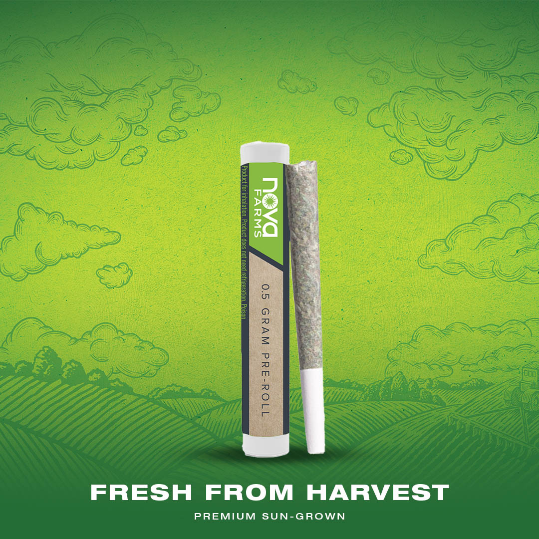 Photograph of product: Pre-Roll | Purple Milk