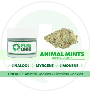 Photograph of product: Animal Mints | 2.83g