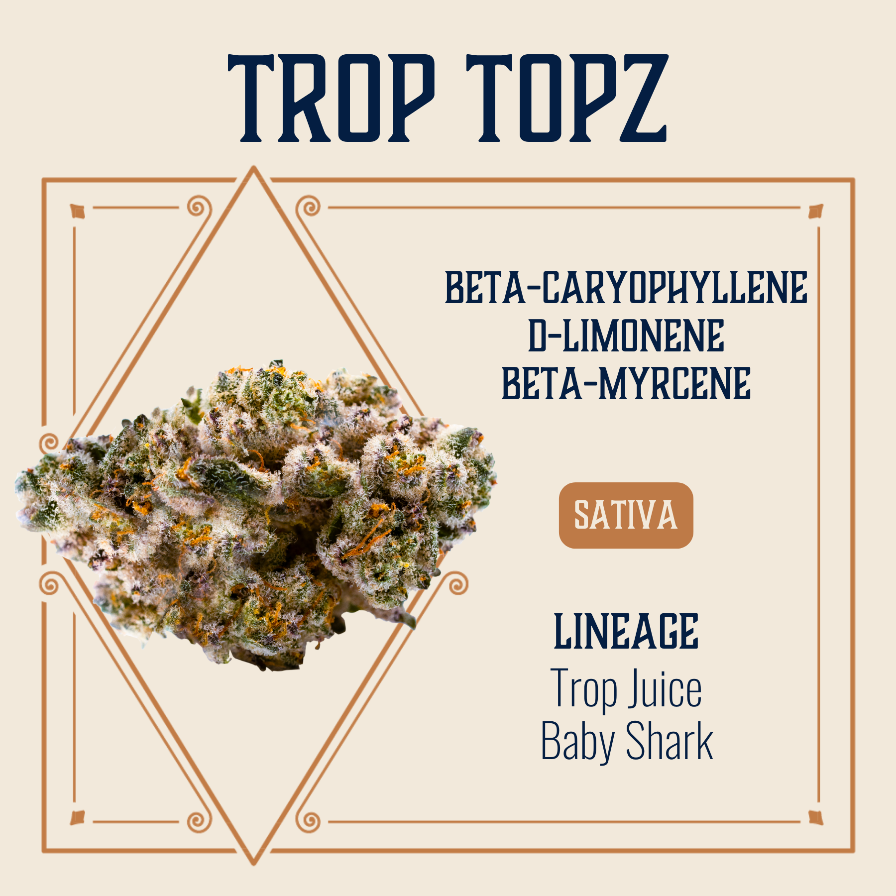 Photograph of product: Trop Topz Flower | 3.5g