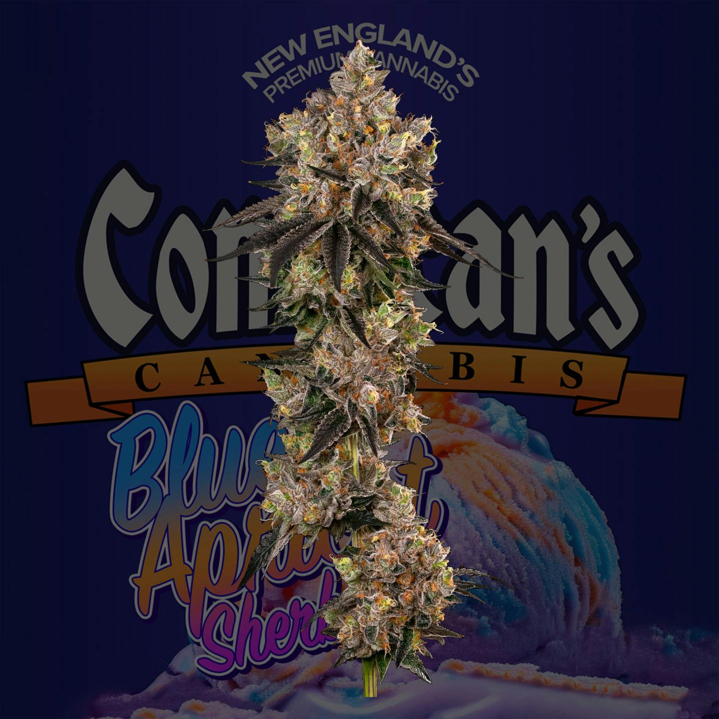 Photograph of product: Blue Apricot Sherbert