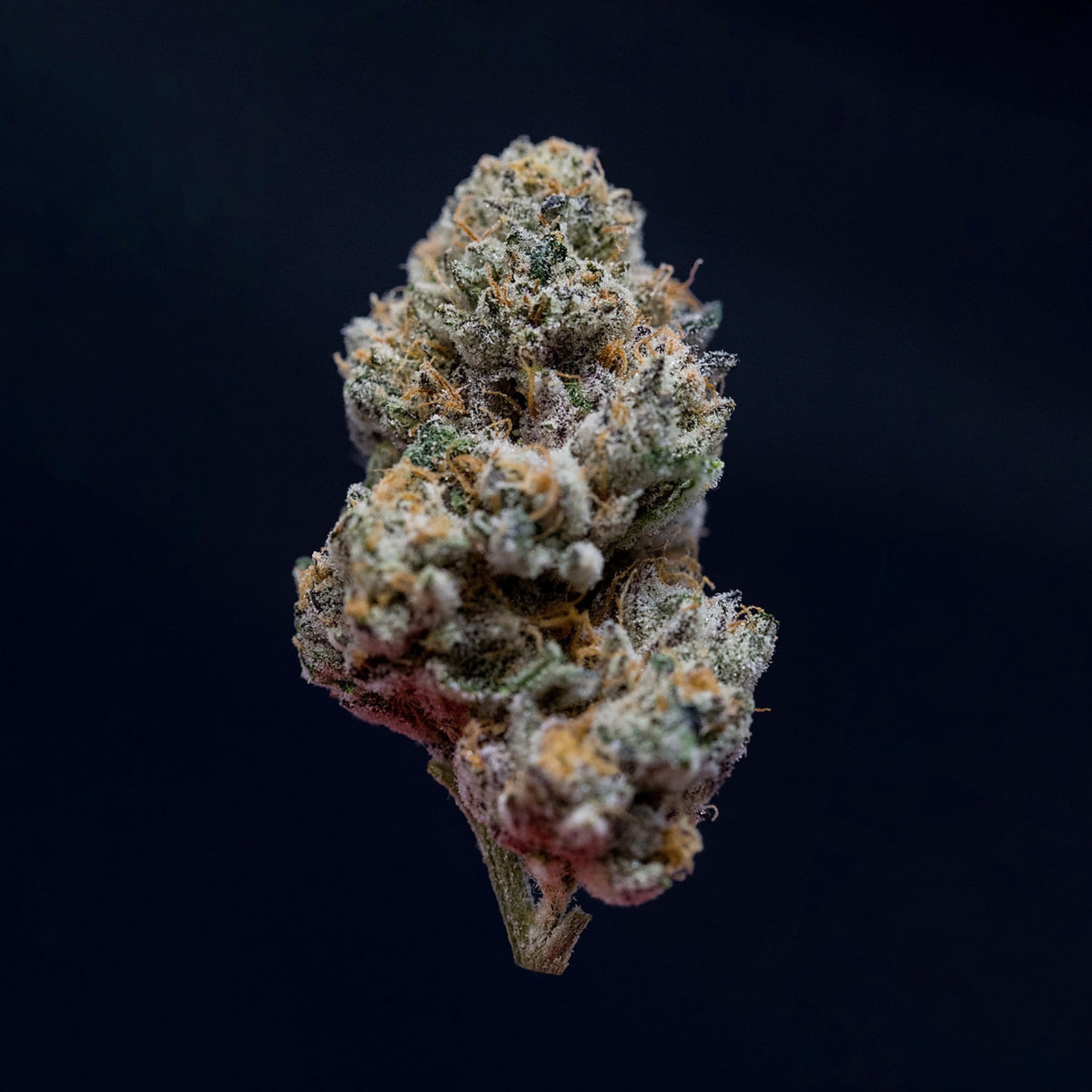Photograph of product: Cake Crasher- Full Bud Oz 28g