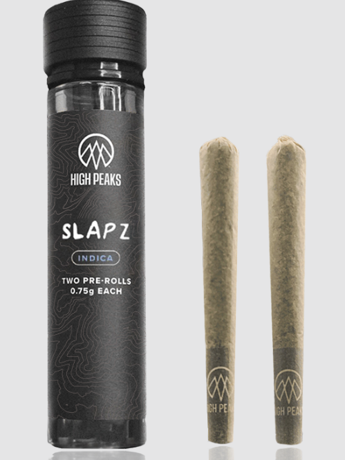Photograph of product: Slapz - 2 Pack