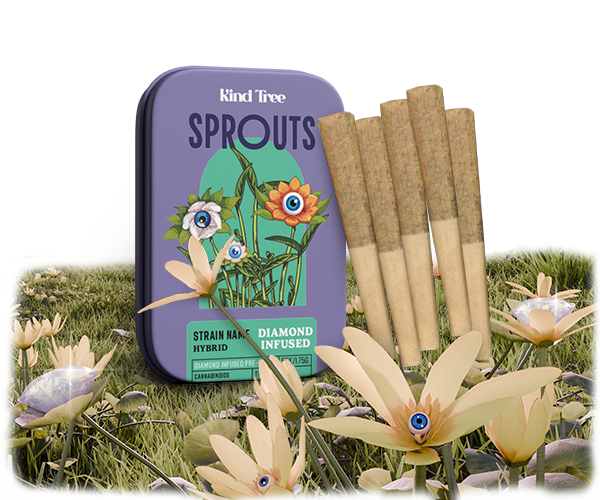 Photograph of product: Kind Tree - Mango Mindset - 1.75g Infused Pre-Rolls 5 pack