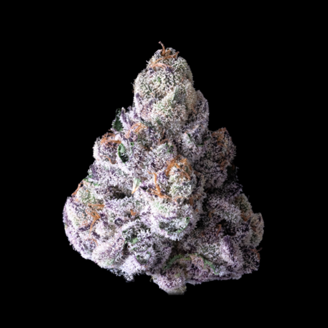 Photograph of product: 1/8 OZ- 98 RESERVE- PREMIUM INDOOR