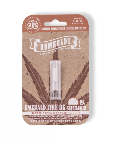 Photograph of Product: Auto Feminized 10pk - Emerald Fire OG