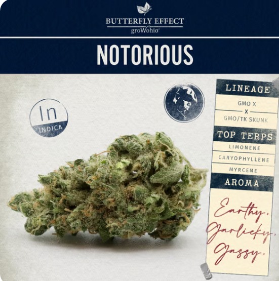 Photograph of product: Notorious 2.83g