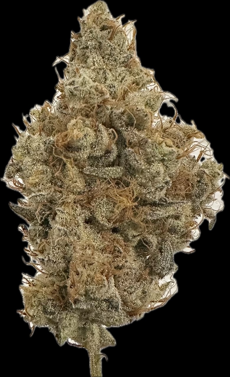 Photograph of product: Alt Sol | King's Juice | Pre-Packaged Flower | 3.5g