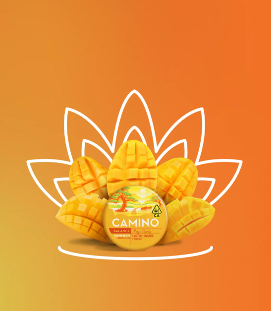 Photograph of product: Mango Serenity Gummies 1:1 | 100mg - Camino