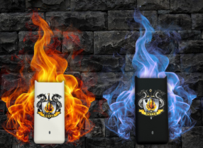 Photograph of product: NYCCE Branded Eureka Battery