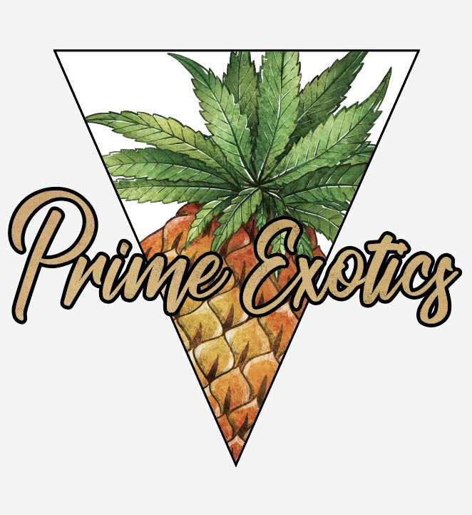 Photograph of product: Prime Exotics - Bob Hope - - Oui'd - Indoor - 3.5g