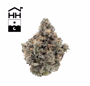 Photograph of product: Orange 43 | TAX INCLUDED - 28g
