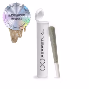 Photograph of product: Perpetual | Chocolope | Rosin Infused Preroll