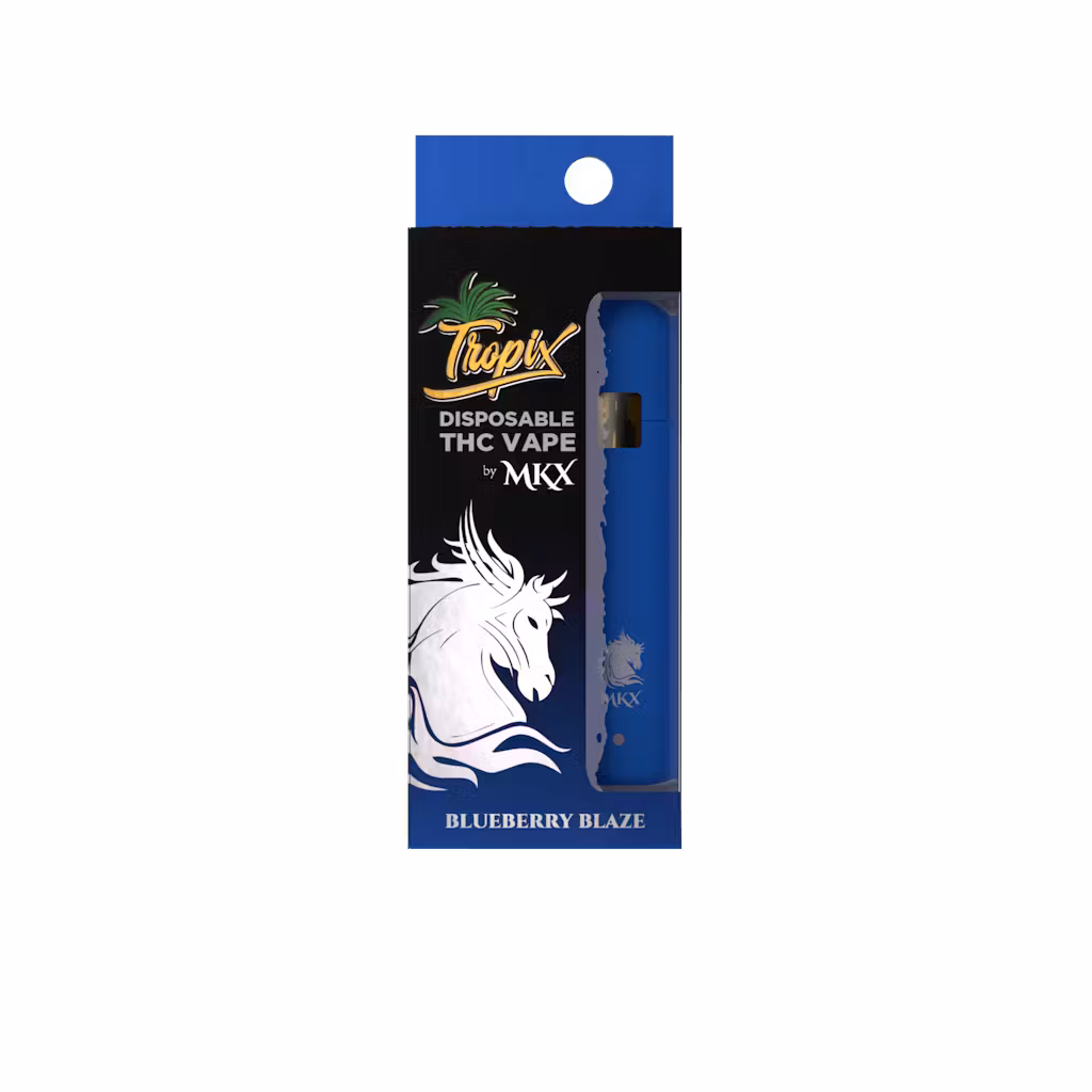 Photograph of product: Blueberry Blaze (Disposable) | 1g