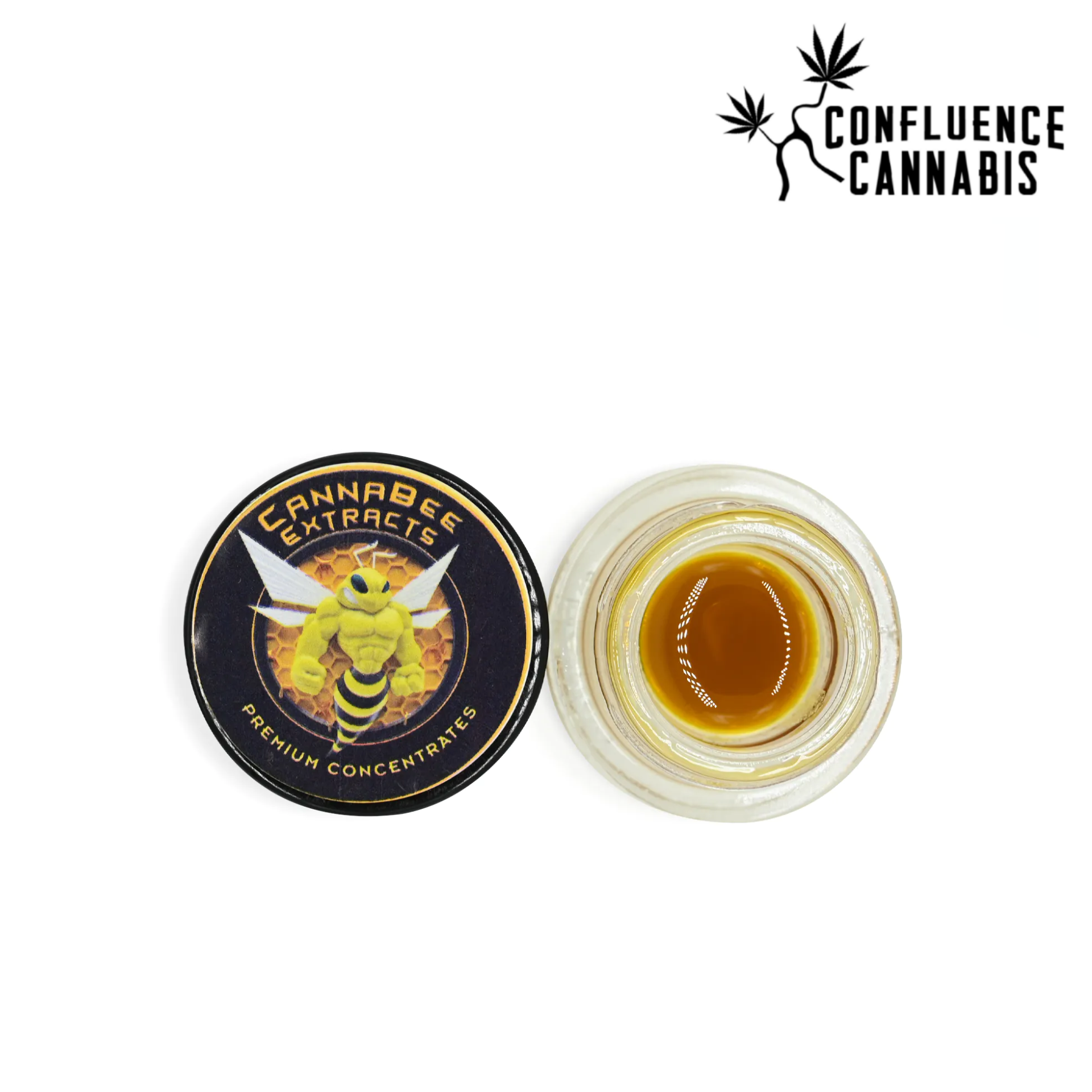 Photograph of product: MMXX Cured Resin