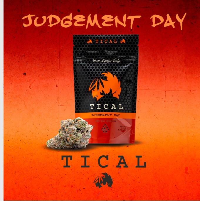 Photograph of product: Tical - Judgement Day - Flower - 3.5g