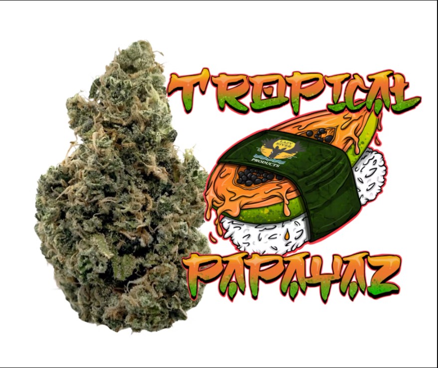Photograph of product: Tropical Papayaz - 3.5g