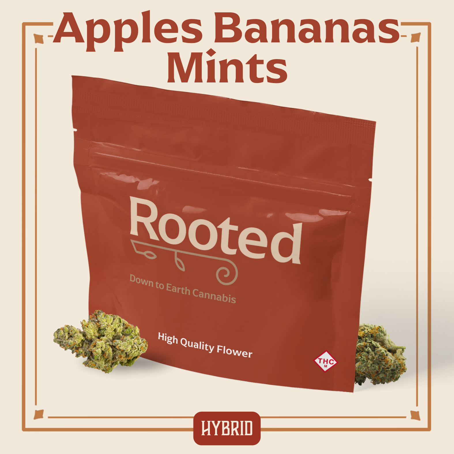 Photograph of product: Apples & Bananas Mints | 14g | Rooted