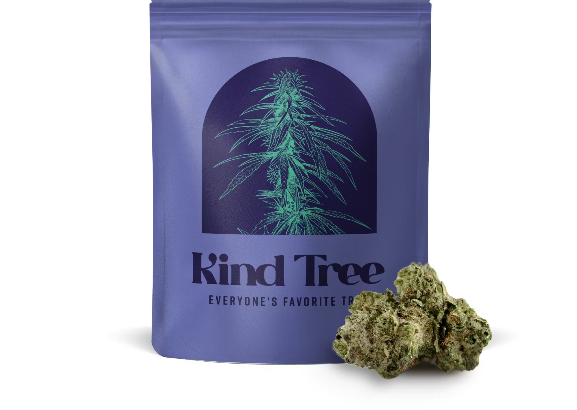 Photograph of product: Gold Shelf - Kind Tree - Mango Haze (S) - 7g