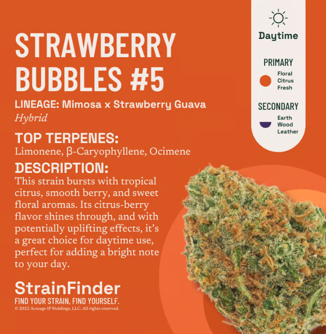 Photograph of product: The Botanist | Strawberry Bubbles #5 | 3.5g