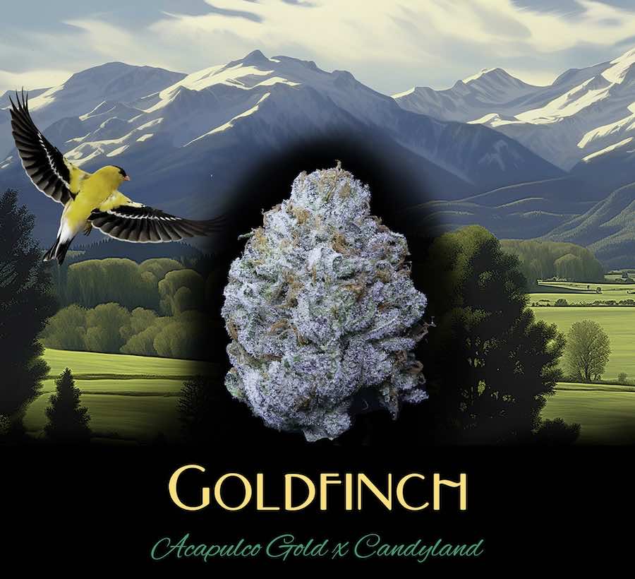 Photograph of product: Deaux - Goldfinch - Flower - - 3.5g