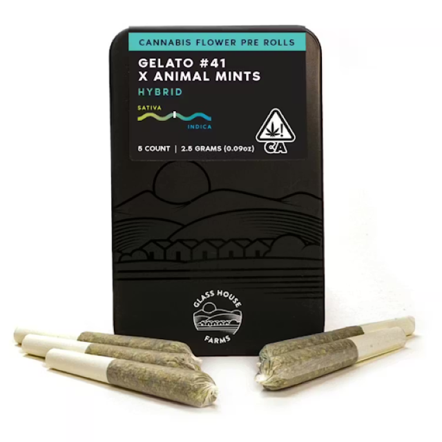 Photograph of product: GELATO #41 X KUSH MINTS 3.5G 5 PACK PREROLLS