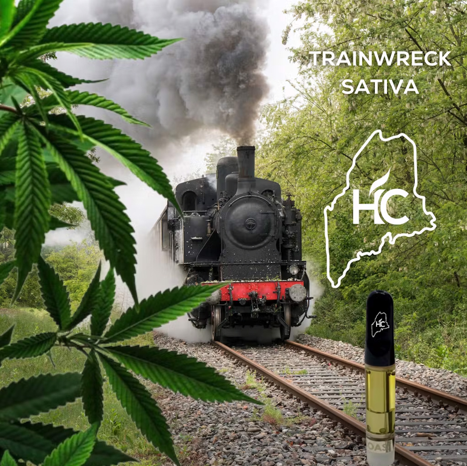 Photograph of product: High Coast Cartridge Trainwreck 1 G