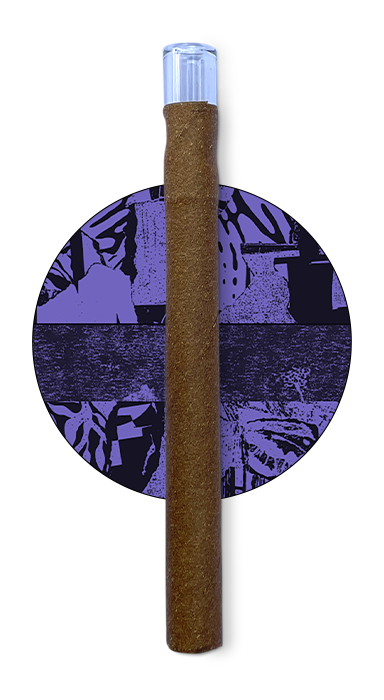 Photograph of product: Dougie 2.7g POINT BREAK Infused Blunt
