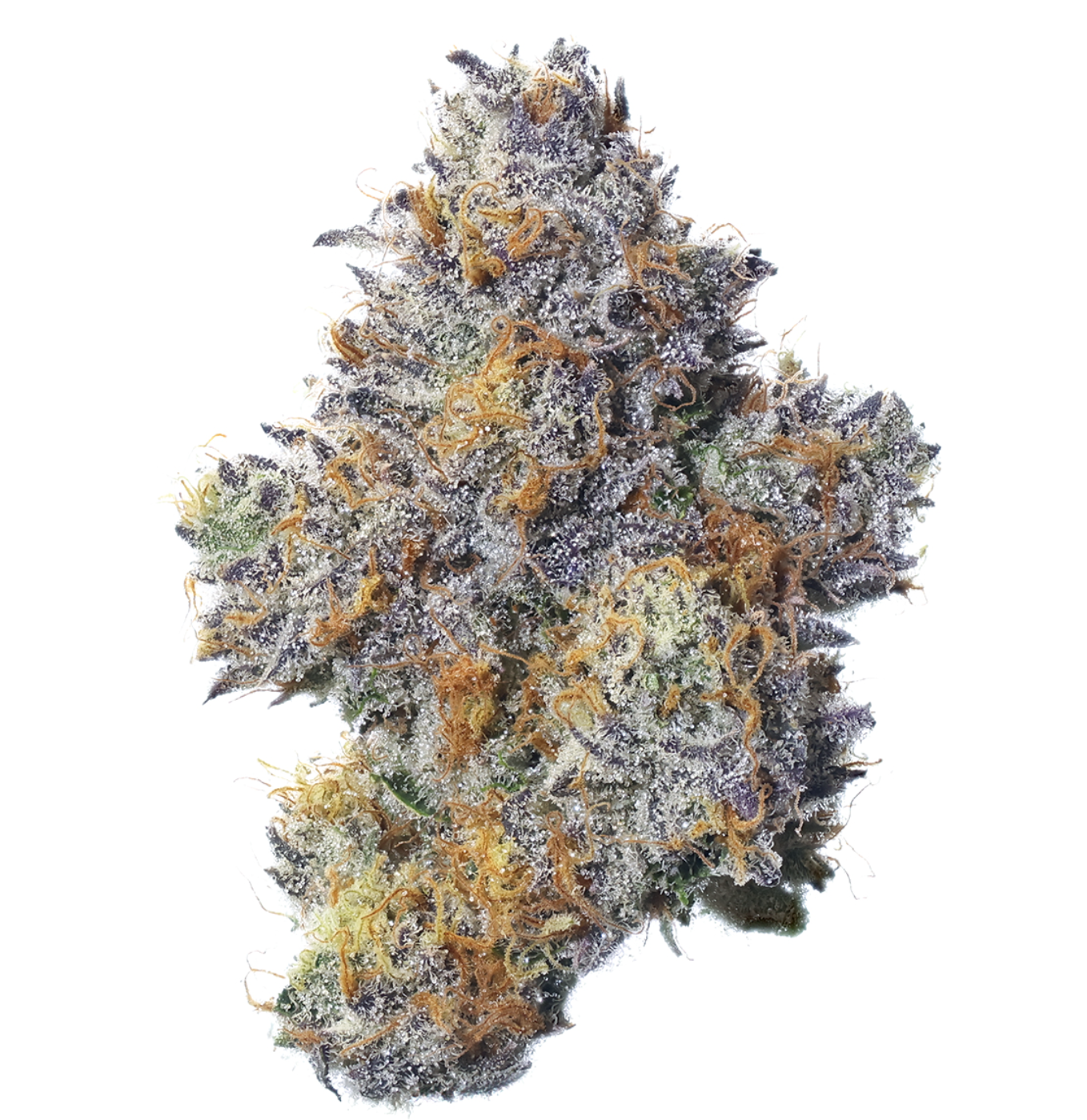 Photograph of product: Fig Farms Zhampu 3.5g