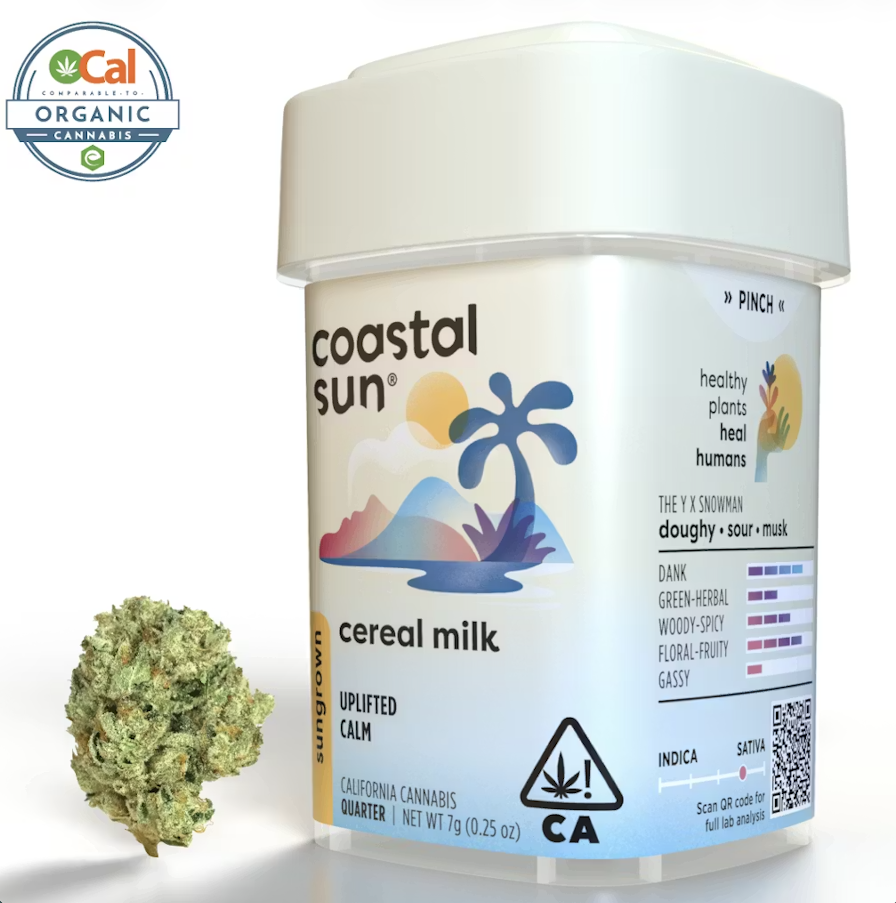 Photograph of product: Coastal Sun Sungrown Flower 7g Quarter - Cereal Milk (S)