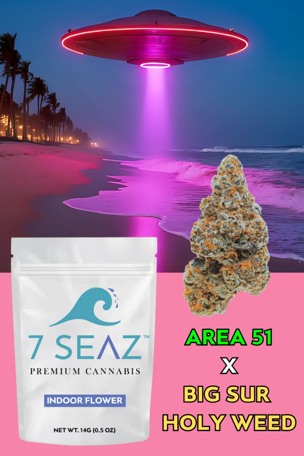 Photograph of Product: Area 51 x Big Sur Holy Weed Flower | Hybrid | 7 Seaz - 14g