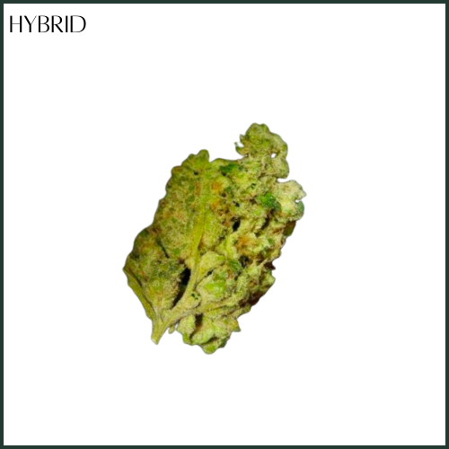 Photograph of product: Molecular Farms | Garlic Diesel | Flower - 3.5g