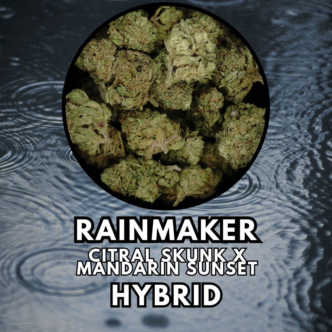 Photograph of product: Flower - Apricot Scone - Special Tier - 28g