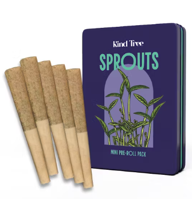 Photograph of product: KIND TREE - Mr. Teeny 5pk Pre-Rolls [I]