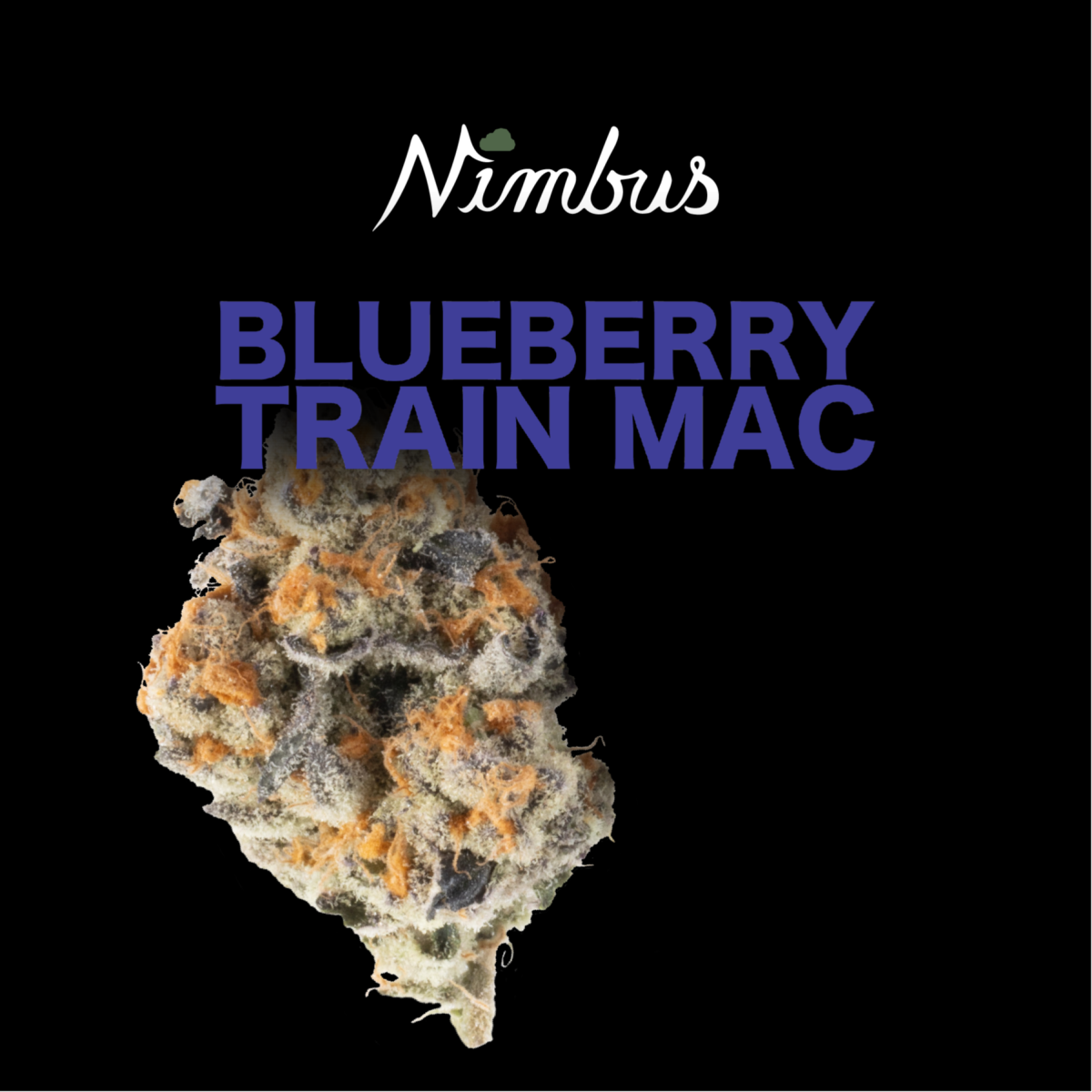 Photograph of product: Blueberry Train MAC Flower | 3.5g - Nimbus
