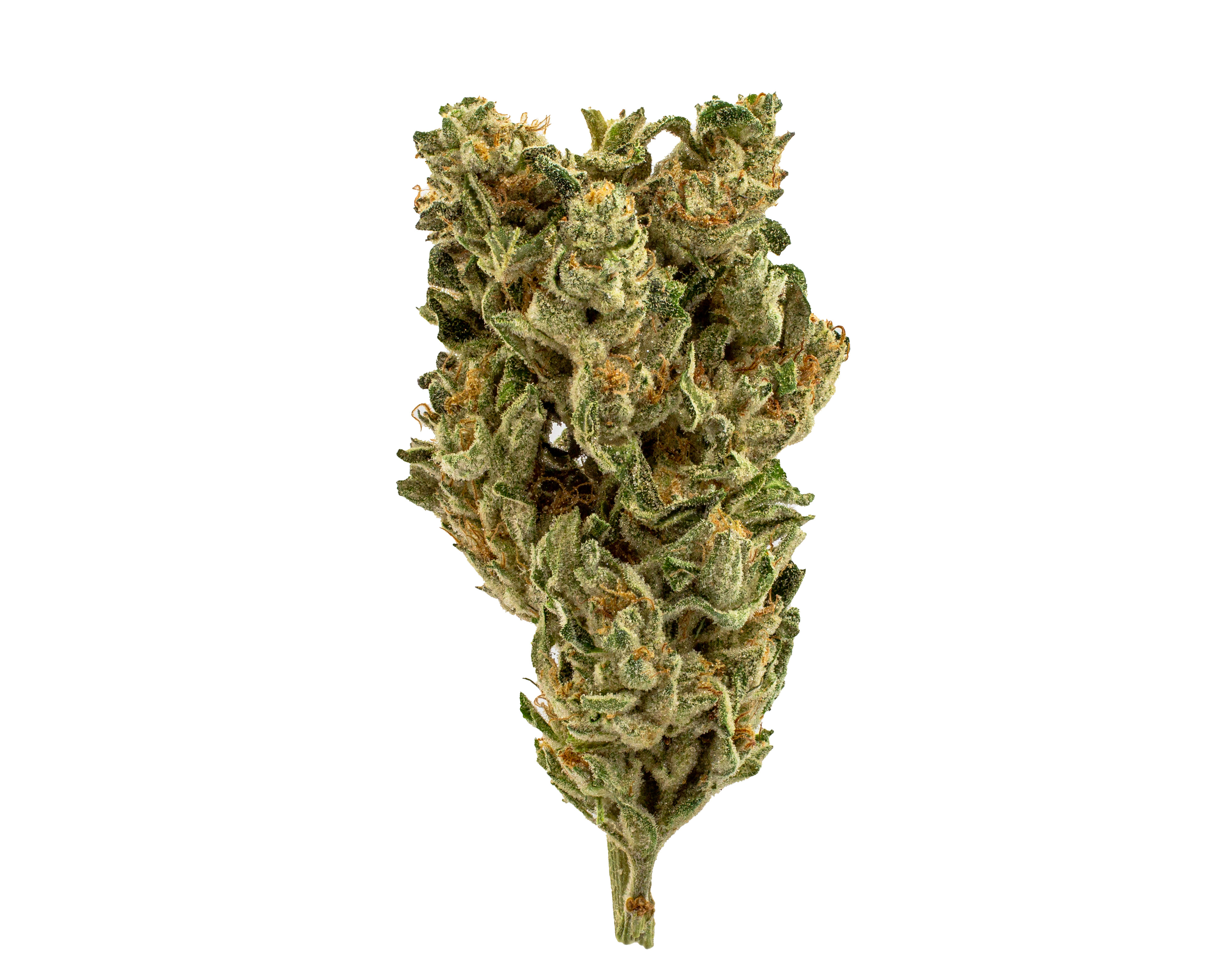 Photograph of product: Mellow Fellow Whole Flower 3.5g