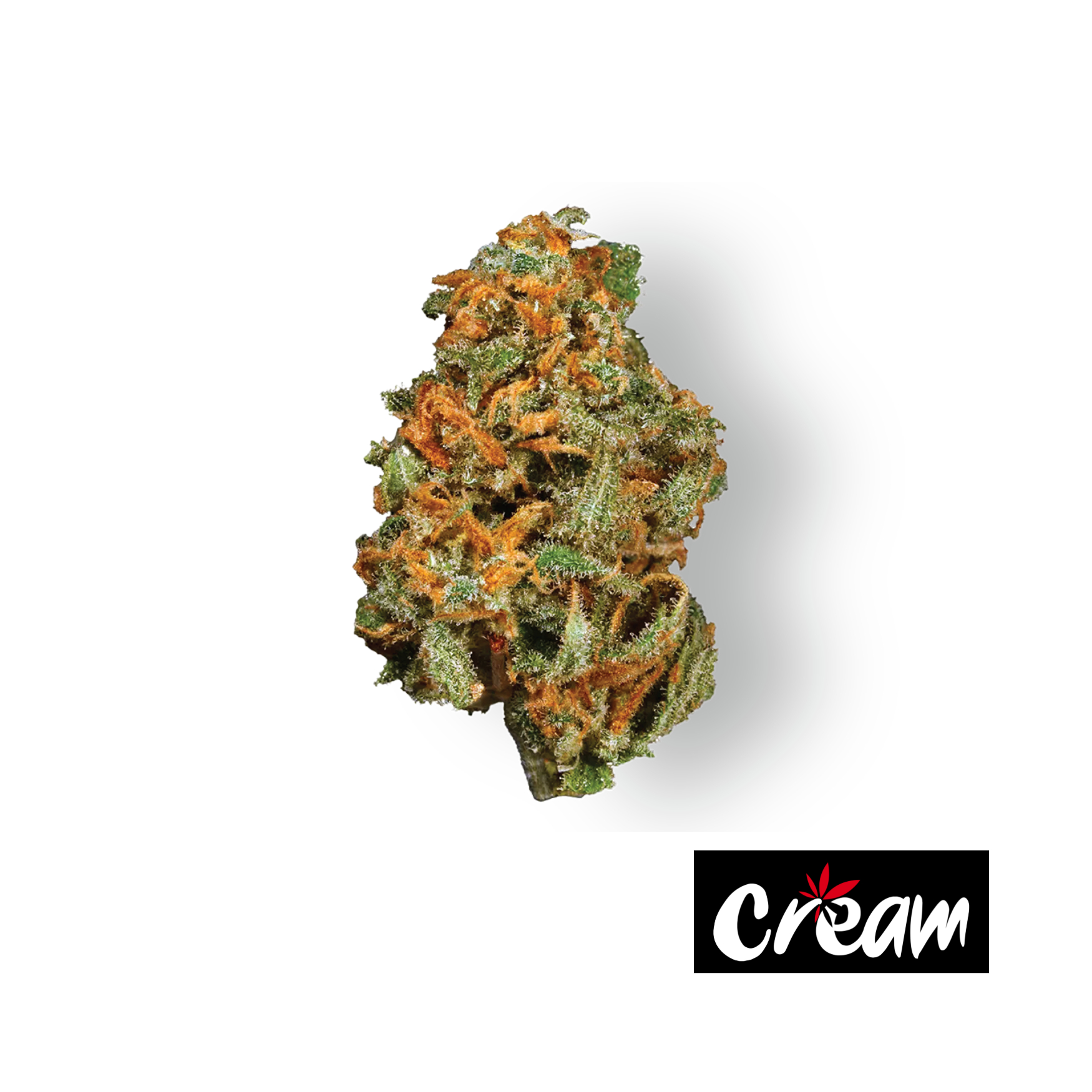 Photograph of product: Super Lemon G - 3.5g