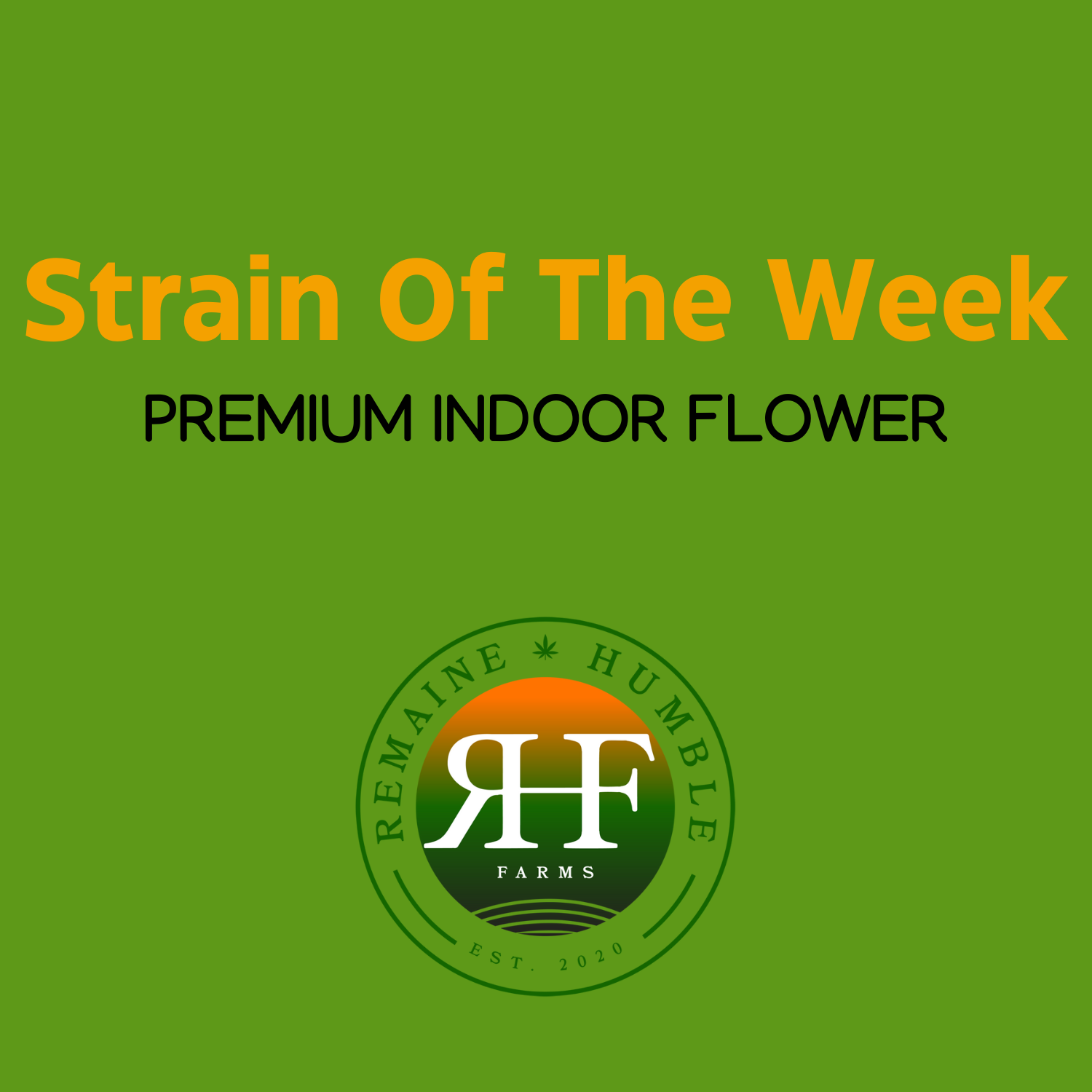 Photograph of product: Strain of The Week - Indoor Flower - 3.5g