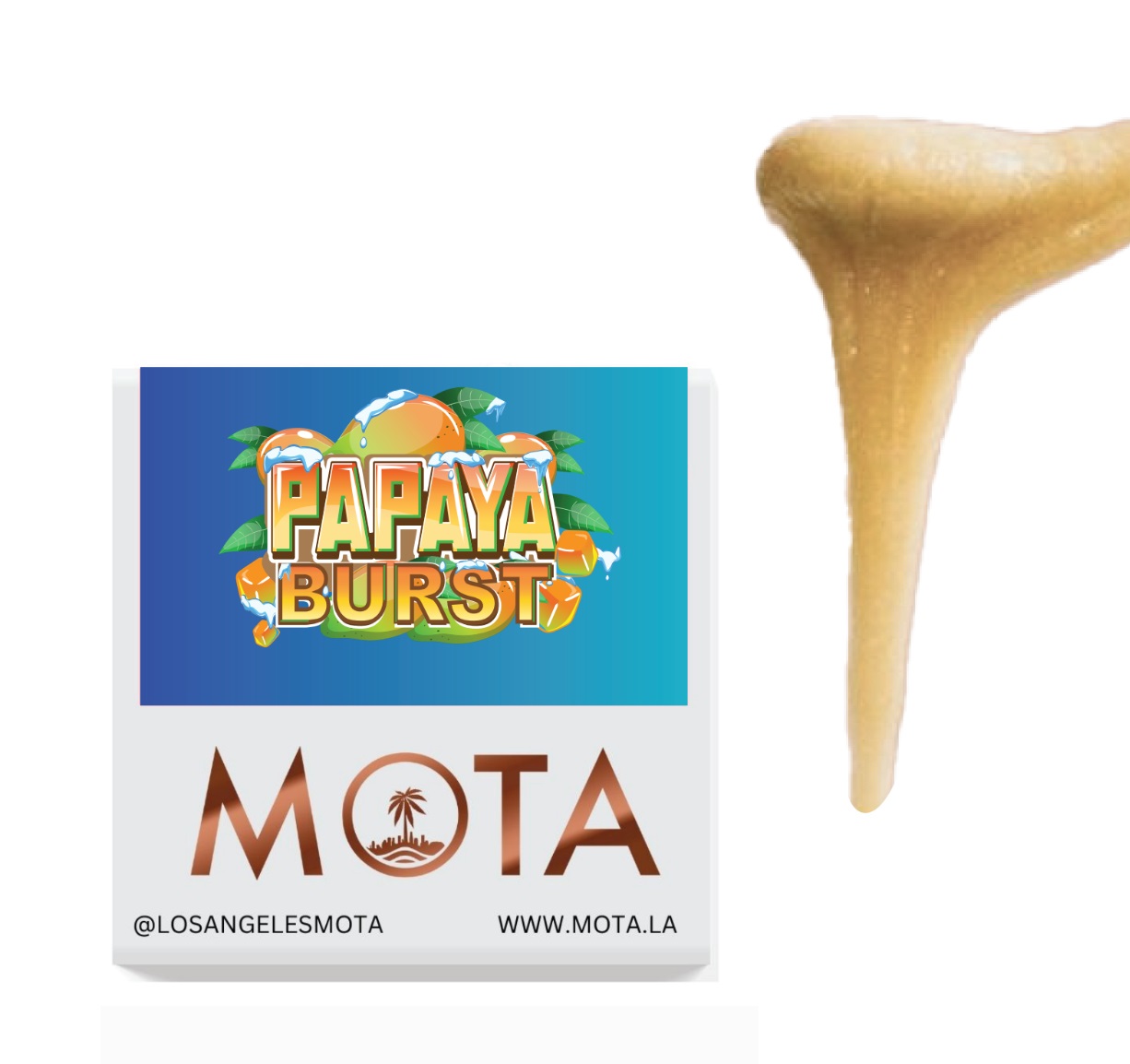 Photograph of product: MOTA Extract LHR 1g White Miso